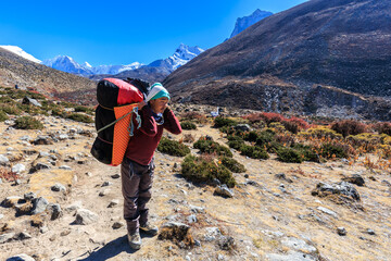 Nepalese Porter carrying heavy loads in the Himalayas, close to the village Dingboche in the Khumjung area (Everest area)