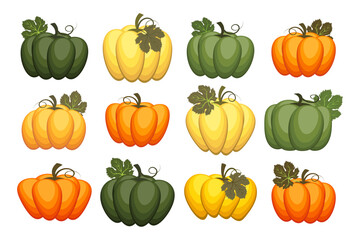 Set of various colorful pumpkins with leaves. Thanksgiving icons, vector