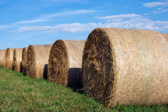 Close up of round hay bales in a row