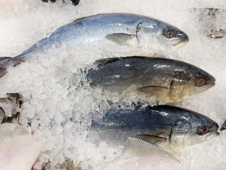  fresh fish seafood in supermarket.choosing a dairy products at supermarket.