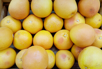 buying fruits in the market (lemons, oranges, tangerines, limes)