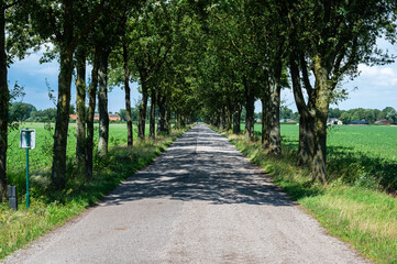 Gravel path as a biking trail at the Dutch Belgian border around Hamont Achel, Limburg, Belgium