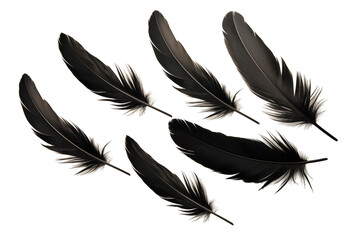 Falling Crow feathers PNG black Feathers isolated on white and transparent background - Ethereal plumage Featherfall Soft descent