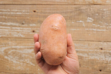 A Hand Grasping a Freshly Harvested Sweet Potato Root, Ready for Cooking and Enjoyment