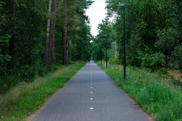 Obraz premium Straight double cycling road at the Molen Ven nature reserve around Heeze, North Brabant, Belgium