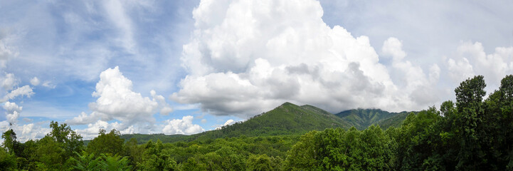 Web banner of Mt. LeConte in Great Smoky Mountains National Park