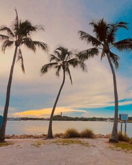Palm Beach, florida, jupiter © Laura
