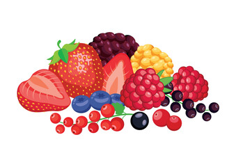 Pile of different berries vector illustration. Fresh berry fruit icon set vector isolated on a white background. Strawberries, raspberries, blueberries, cranberries, red currants drawing © betka82