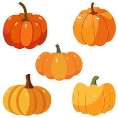 Set of pumpkins. Autumn harvest. Cartoon style vector illustration.