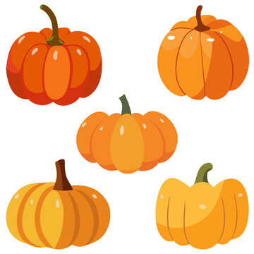 Set of pumpkins. Autumn harvest. Cartoon style vector illustration.