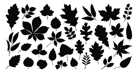 Set of silhouettes of various tree leaves, oak, maple, and chestnut. Simple, black monochrome autumn leaves collection. Flat vector illustration on a white background.
