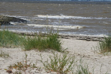 Nordsee mit Strand , windig