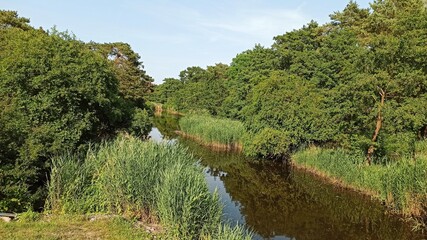 Rzeka wśród zieleni.  © WalDec