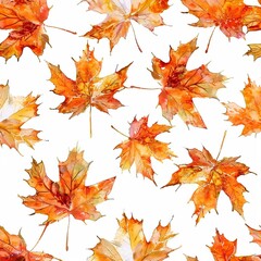 Fototapeta premium Leaf pattern of autumn colorful maple leaves on white background.