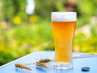 A glass of wheat beer on the table in the summer garden. Green background, wheat ears