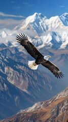Fototapeta premium An eagle gracefully flies over towering snow-covered peaks, showcasing the beauty of nature in a clear blue sky