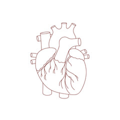 illustration of a heart in a linear style, hand drawn