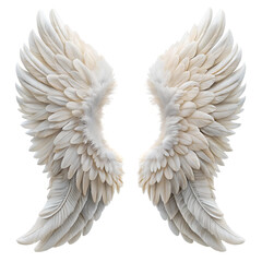 Obraz premium Beautiful and white angel wings on a white background.
