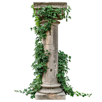 recommend clip art: Antique column with overgrown foliage clip art