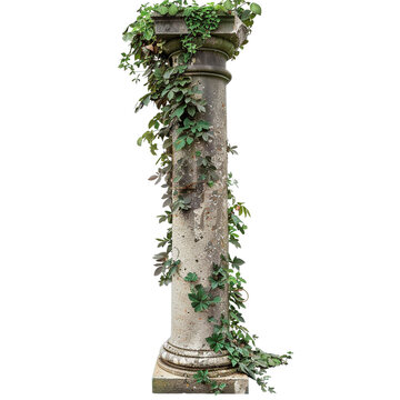 recommend clip art: Antique column with overgrown foliage clip art