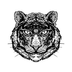 Patterned ornate tiger head. African, Indian, totem, tattoo, sticker design. Design of t-shirt, bag, postcard and posters. Vector isolated illustration in bright neon colors.