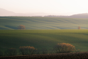 field