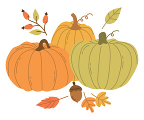 Autumn pumpkin, pumpkin of different shapes and sizes, seasonal autumn harvest, hello autumn, flat vector illustration on a white background