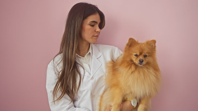 A beautiful young woman holding a cute pomeranian dog against a pink isolated background