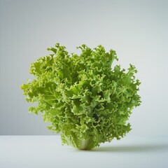 Obraz premium Medium shot of Fresh green lettuce, isolated on a white background, 