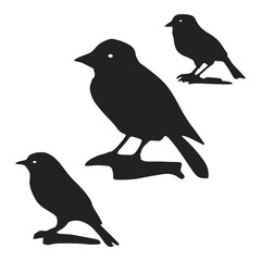 Obraz premium Set of black bird silhouettes illustration art, silhouette bird logo design vector, birds silhouettes collection