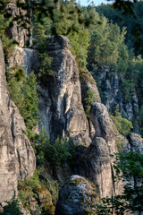 Sonnenaufgang – Blaue Stunde in der Sächsischen Schweiz – Bastei - Elbsandsteingebirge