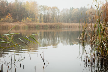 Fototapeta premium Misty lake in the morning. Autumn landscape with lake and trees in the fog.