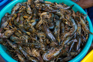 Shrimp for sale in the Camana market, Arequipa