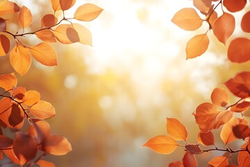 Fototapeta premium In a peaceful forest setting, golden autumn leaves are beautifully illuminated by the gentle light of the morning sun