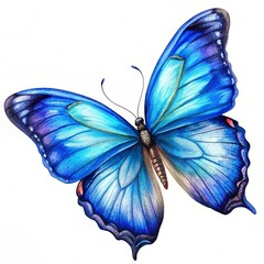 Blue butterfly flying isolated
