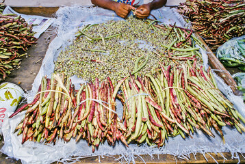 Green bean pods being peeled for sale at São Cristóvão Market, Rio de Janeiro, Brazil, 2021