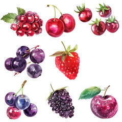 A set of hand-painted watercolor illustrations of berries: strawberries, blueberries, blackberries, raspberries, isolated on transparent background.