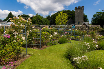 Colorful rose gardens at St Fagans Castle, Wales, UK