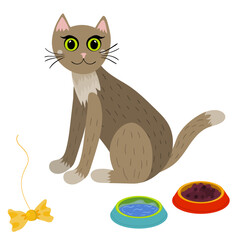 Cute sitting cat with dinner and toy, collection in flat style isolated on white