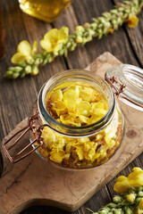 Making mullein or Verbascum syrup from fresh flowers and cane sugar