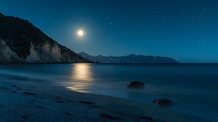 Fototapeta premium 月明かりに照らされた夜の海