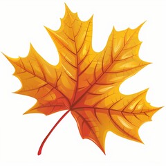 Fototapeta premium Vibrant Autumn Maple Leaf Illustration Perfect for Fall Designs and Seasonal Decor