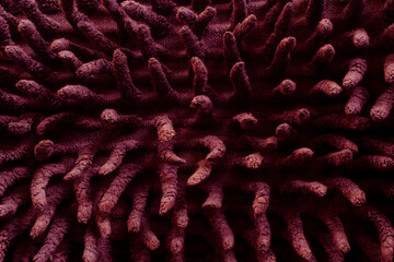 hairy villi background or texture in red