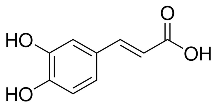 Kaffees&auml;ure Chemie Strukturformel
