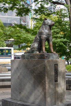 The Hachiko Statue in Shibuya, Tokyo