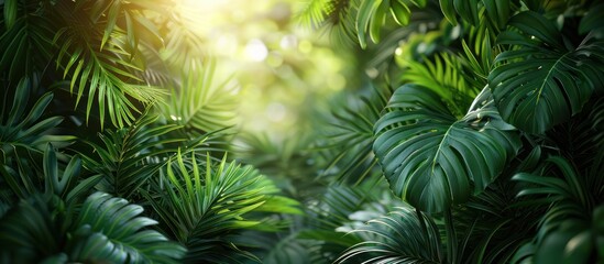 Fototapeta premium Lush Tropical Foliage in Sunlight