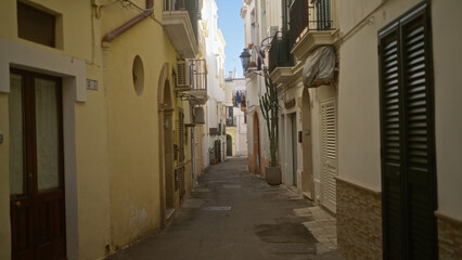 A narrow street in gallipoli, puglia, salento, italy, showcasing old buildings and historic architecture under a clear sky.