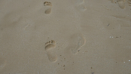 Footprints on the sandy beach of pescoluse, salento, puglia, italy, featuring clear impressions and minimalistic landscape under natural light.
