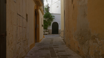 Obraz premium Narrow cobblestone alley in gallipoli, puglia, italy, featuring rustic buildings with aged walls and a green door adorned with vine plants under bright daylight.