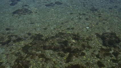 Clear shallow waters with rocky seabed illuminated by sunlight in porto cesareo, italy, showcasing the serene and natural beauty of the salento coastal landscape.